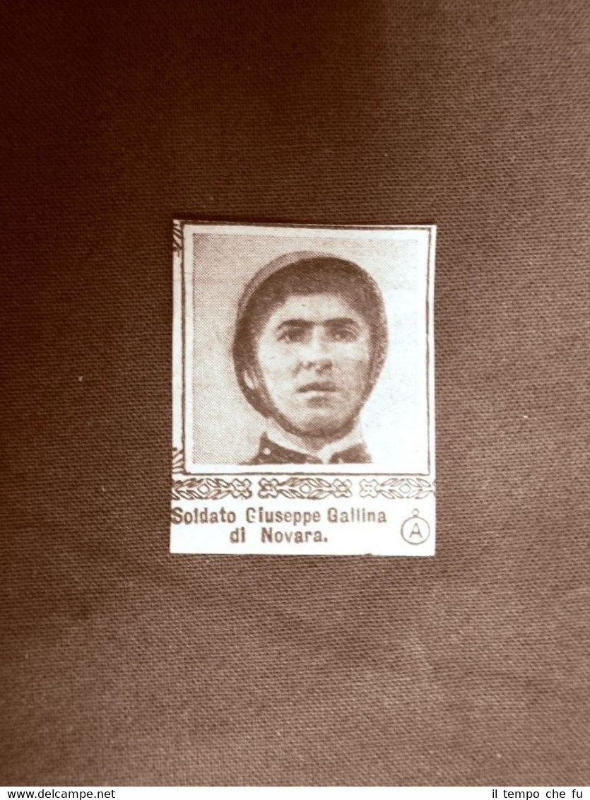WW1 Prima guerra mondiale 1914-1918 Caduto Giuseppe Gallina di Novara