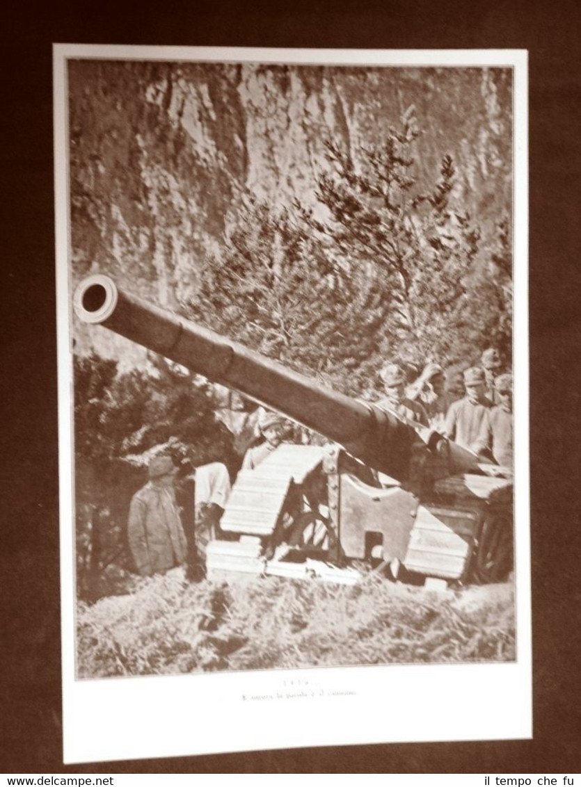 WW1 Prima guerra mondiale 1914-1918 Cannone d'artiglieria nel 1916 e …