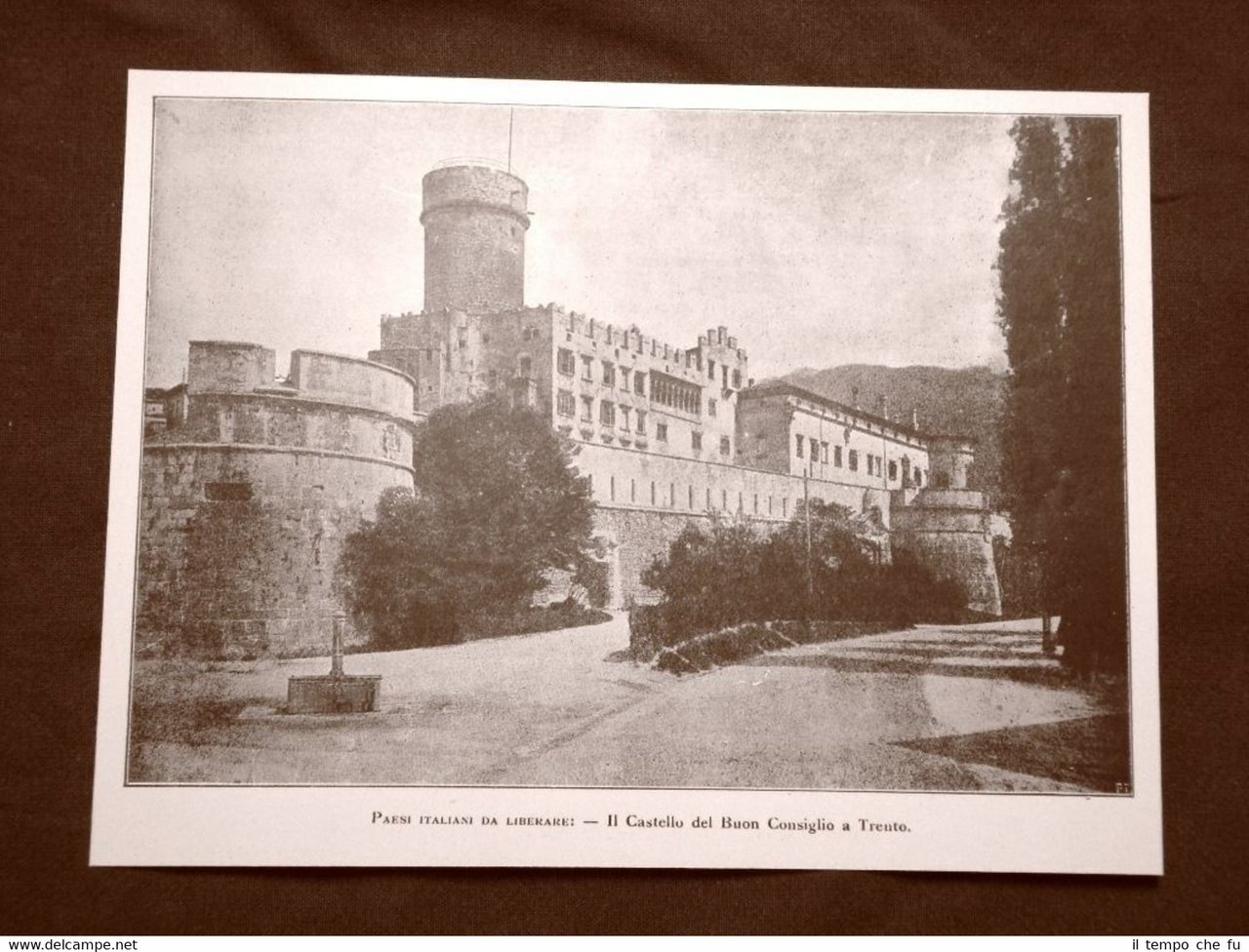 WW1 Prima guerra mondiale 1914-1918 Città da liberare Trento nel …