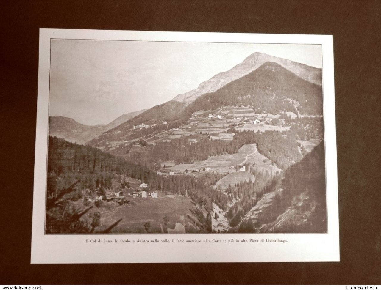 WW1 Prima guerra mondiale 1914-1918 Col di Lana Pieve di … | Immagine principale