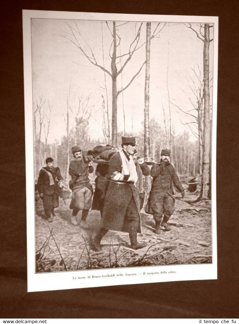 WW1 Prima guerra mondiale 1914-1918 Trasporto Bruno Garibaldi e Bulow …