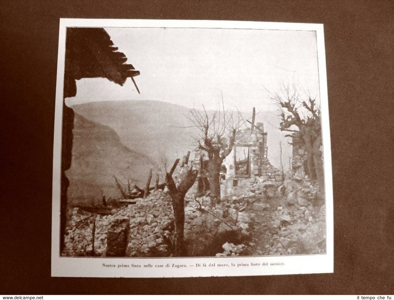 WW1 Prima guerra mondiale 1914-1918 Zagora nel 1916 Prima linea … | Immagine principale