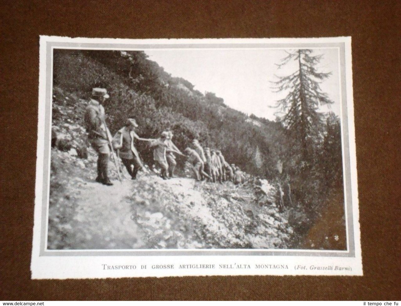 WW1 Prima guerra mondiale del 1914-1918 Trasporto d'artiglieria in montagna
