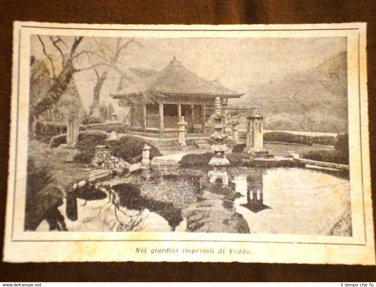 Yeddo nei primi anni del 1900 Nei giardini imperiali | Immagine principale