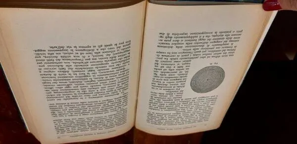 I PRINCIPI SCIENTIFICI DEL DIVISIONISMO LA TECNICA DELLA PITTURA