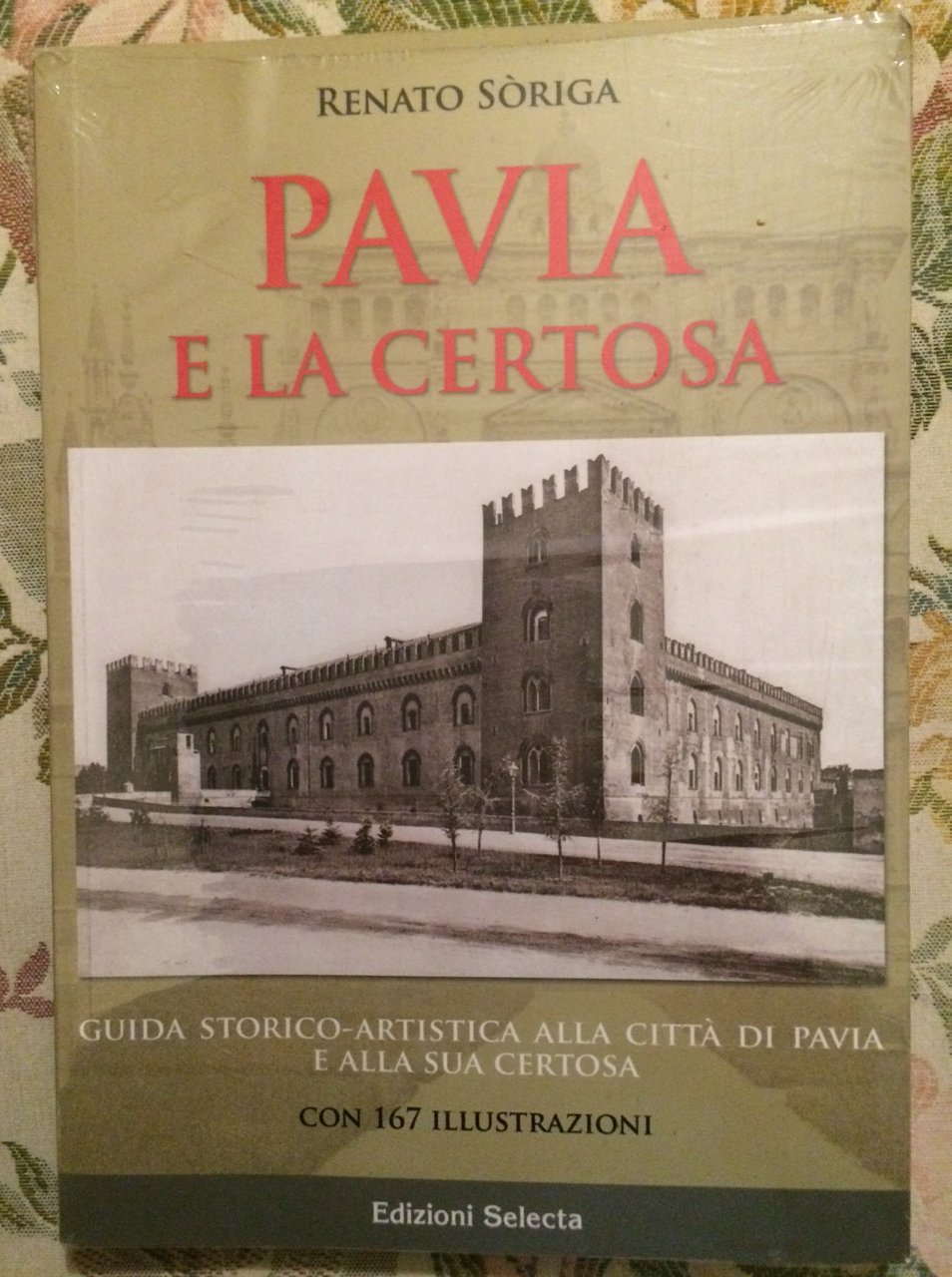 PAVIA E LA CERTOSA Guida storico-artistica