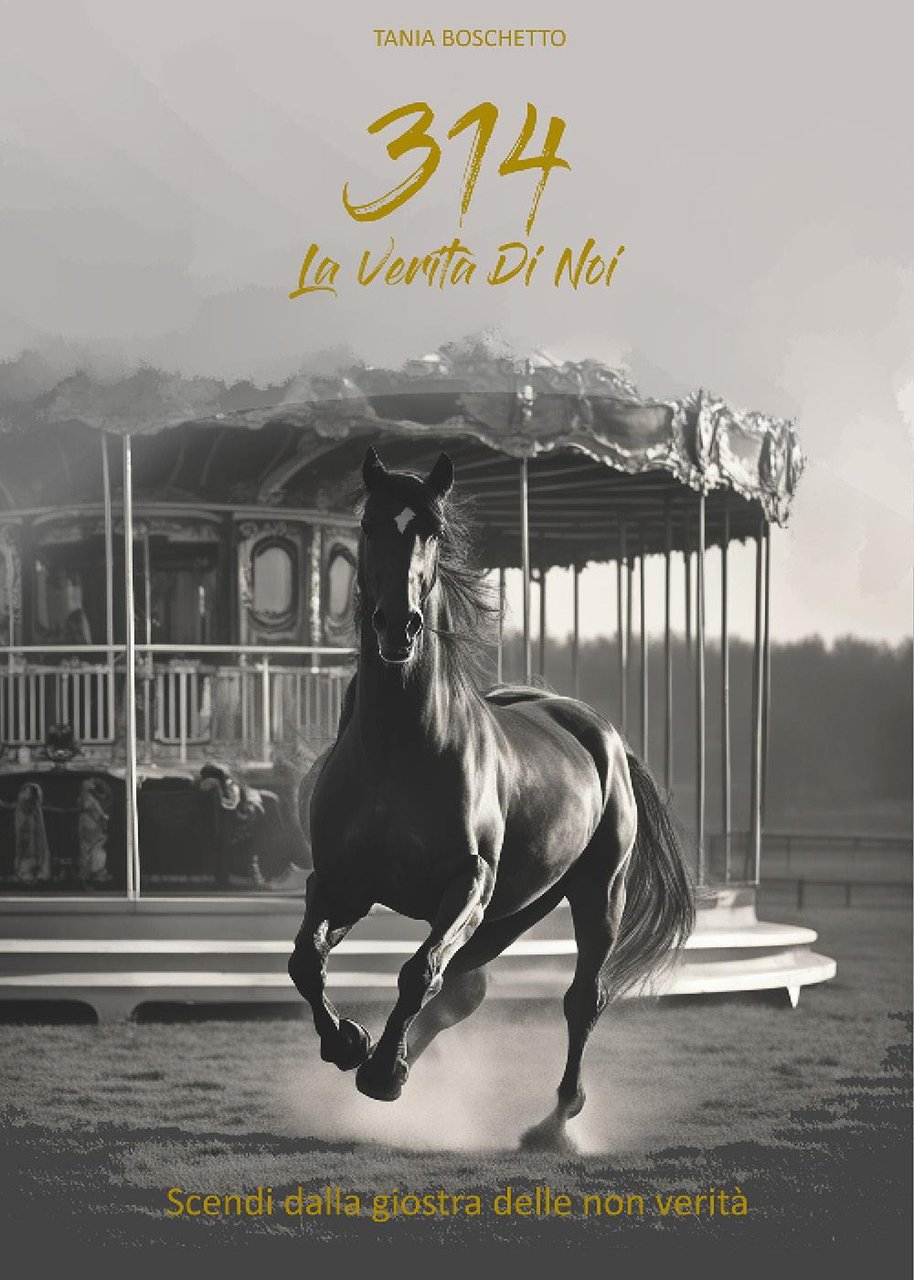 314. La verità di noi | Immagine principale