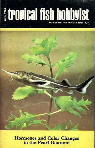 Lo zoo. Ediz. a colori. Con puzzle