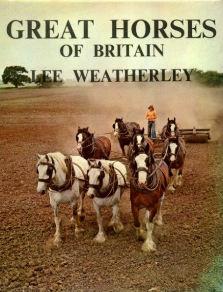 Piramide. Le inchieste del commissario Wallander. Vol. 9