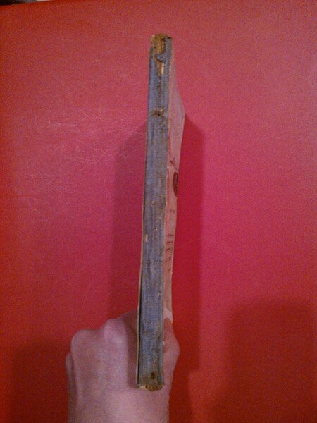 Amore incondizionato. Gli animali nostri compagni di viaggio nel disegno …