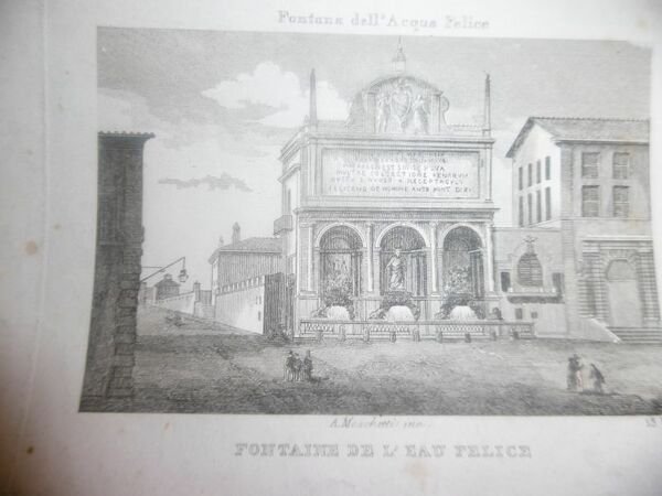 All'ombra di un pino. Ediz. illustrata