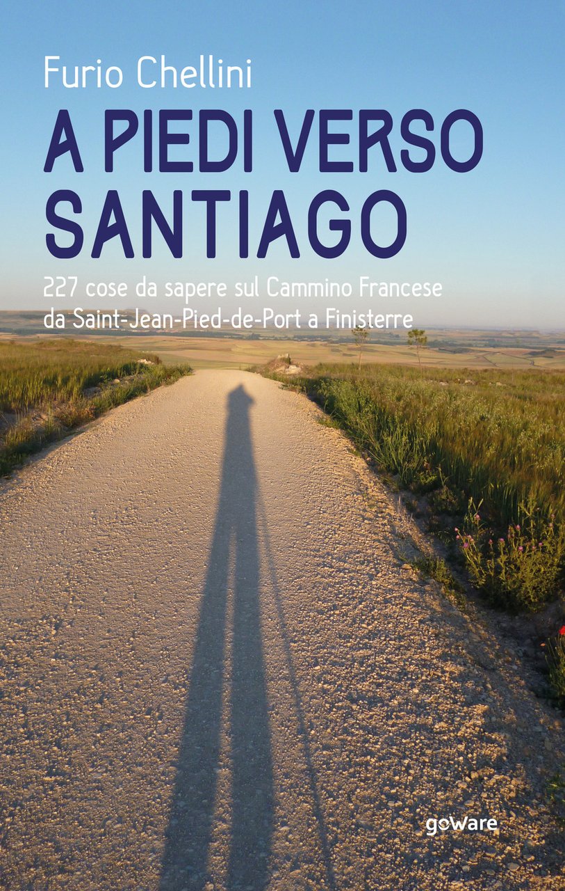 A piedi verso Santiago. 227 cose da sapere sul cammino …