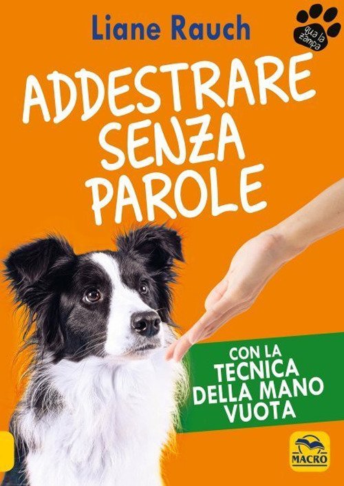 Addestrare senza parole. Con la tecnica della mano vuota | Immagine principale