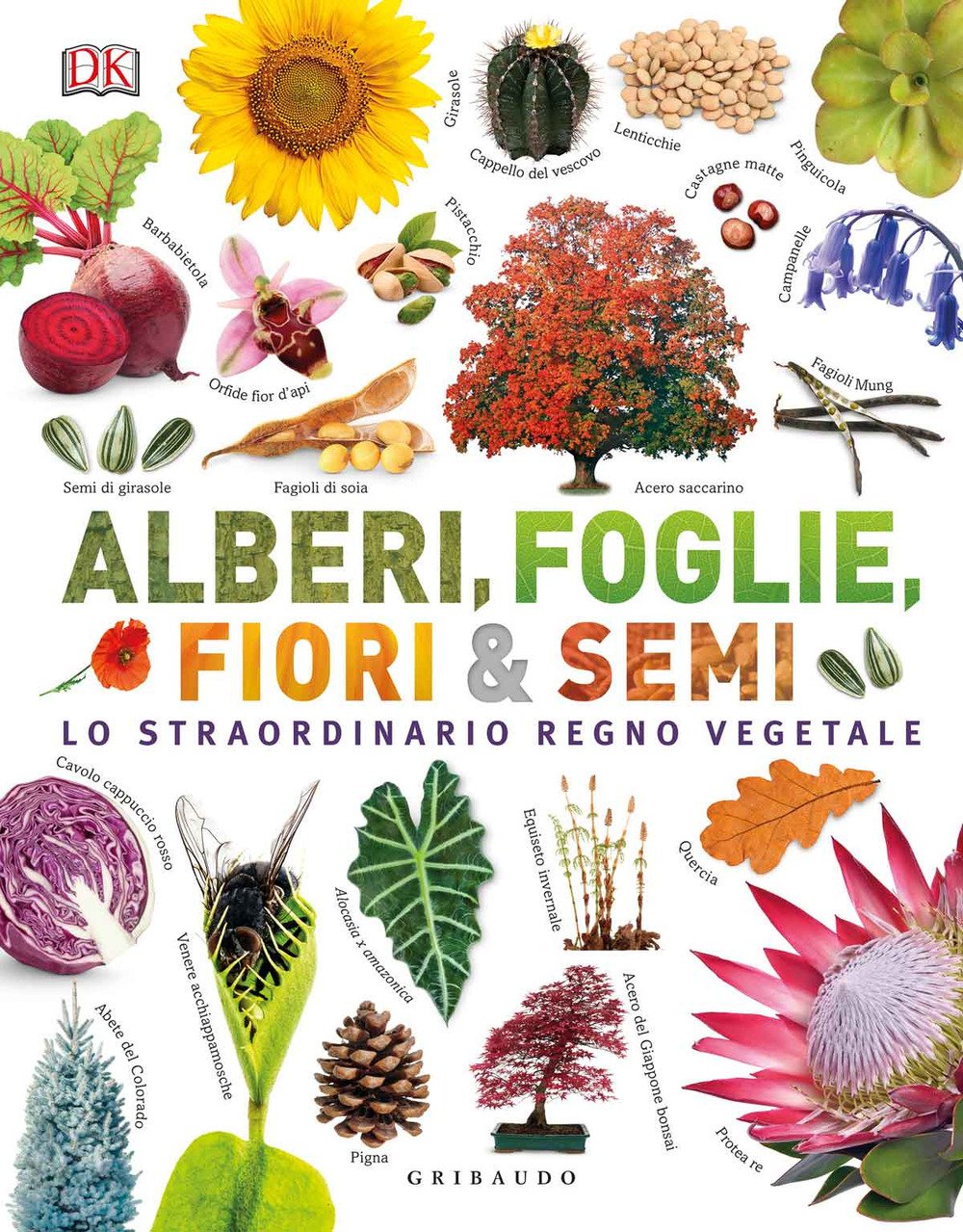 Alberi, foglie, fiori & semi. Lo straordinario regno vegetale. Ediz. …