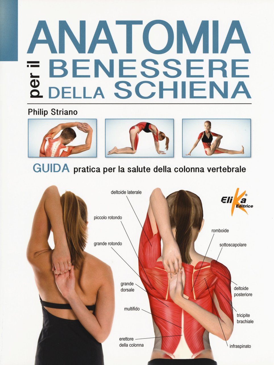 Anatomia per il benessere della schiena. Guida pratica per la …