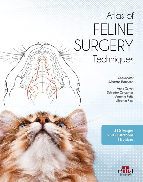 Atlas of feline surgery techniques. Con DVD video | Immagine principale