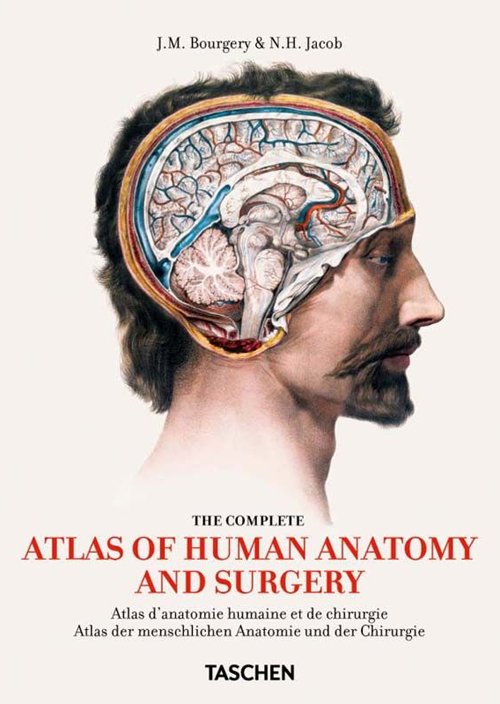 Atlas of human anatomy and surgery. Ediz. italiana, spagnola e …
