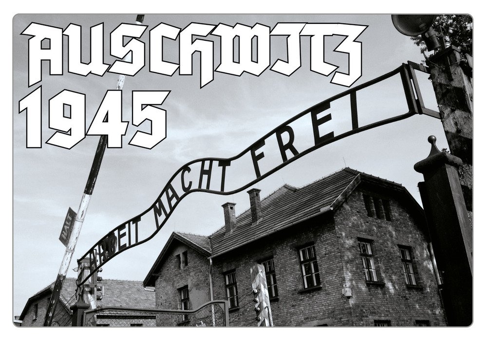 Auschwitz 1945. Ediz. illustrata