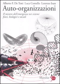 Auto-organizzazioni. Il mistero dell'emergenza dal basso nei sistemi fisici, biologici …