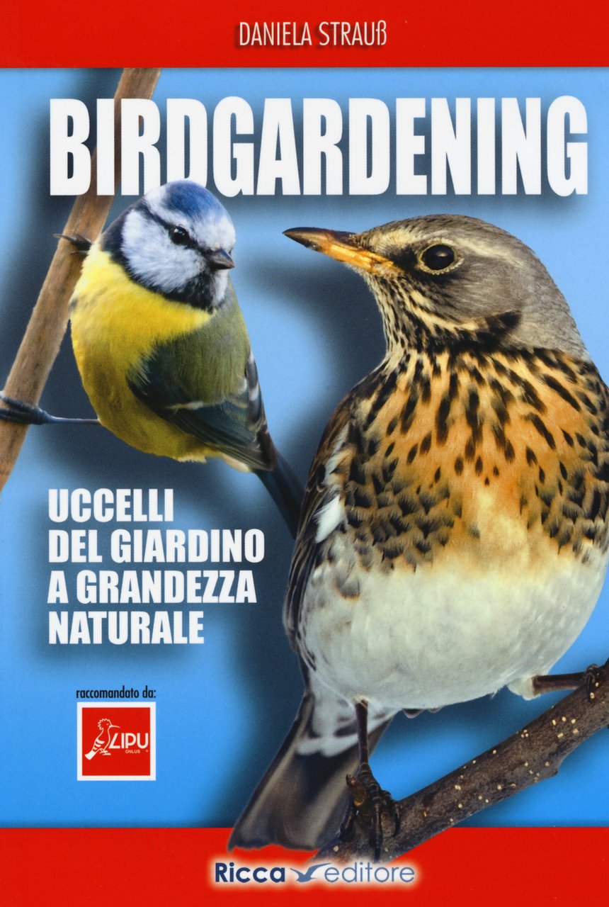 Birdgardening. Uccelli del giardino a grandezza naturale | Immagine principale