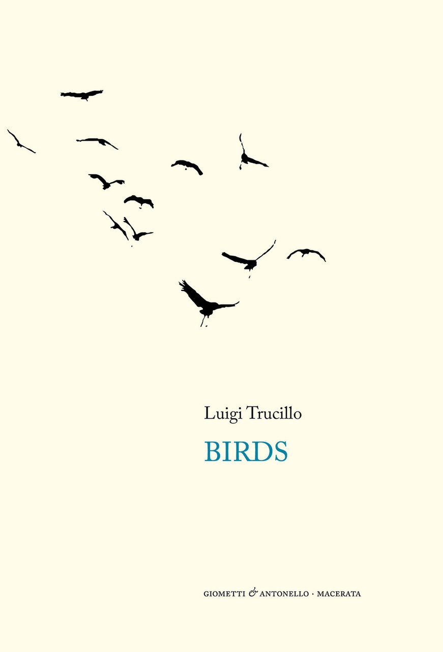 Birds | Immagine principale