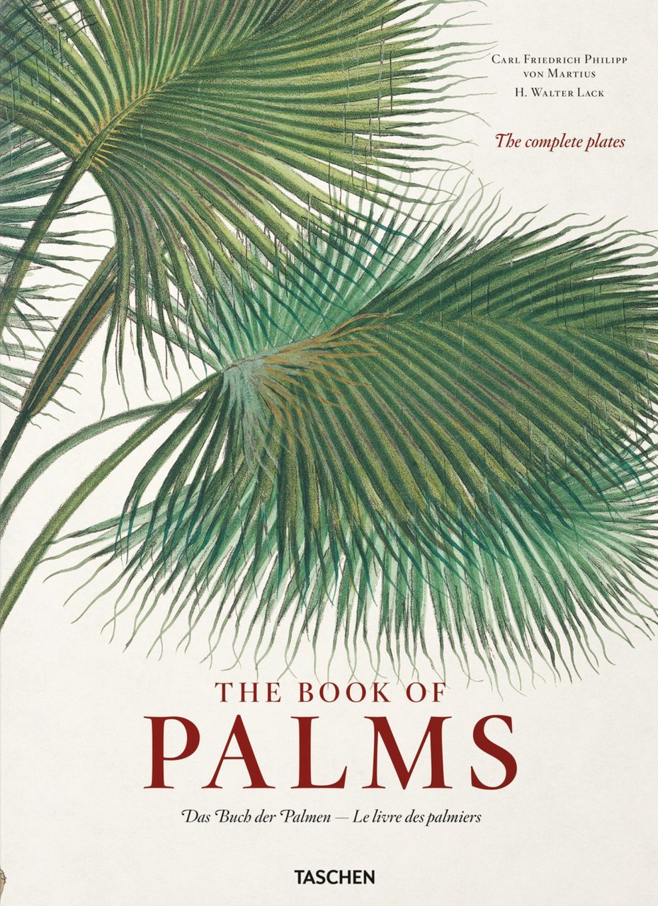 C. F. P. von Martius. The book of palms. Ediz. …
