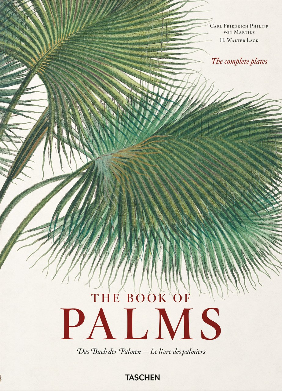C. F. P. von Martius. The book of palms. Ediz. … | Immagine principale