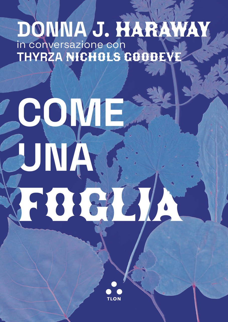 Come una foglia | Immagine principale