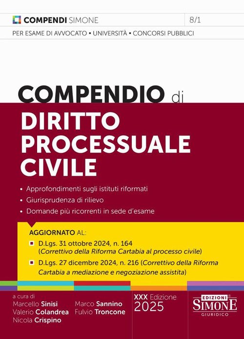 Compendio di diritto processuale civile | Immagine principale