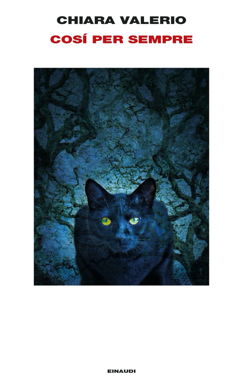 Così per sempre | Immagine principale