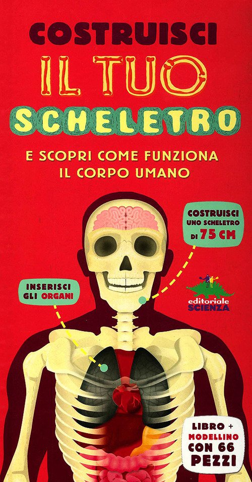 Costruisci il tuo scheletro e scopri come funziona il corpo …