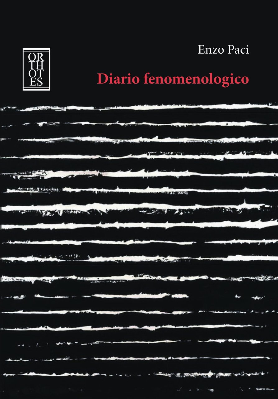 Diario fenomenologico | Immagine principale