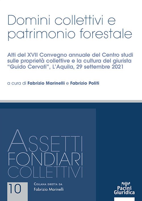 Domini collettivi e patrimonio forestale. Atti del XVII Convegno annuale … | Immagine principale