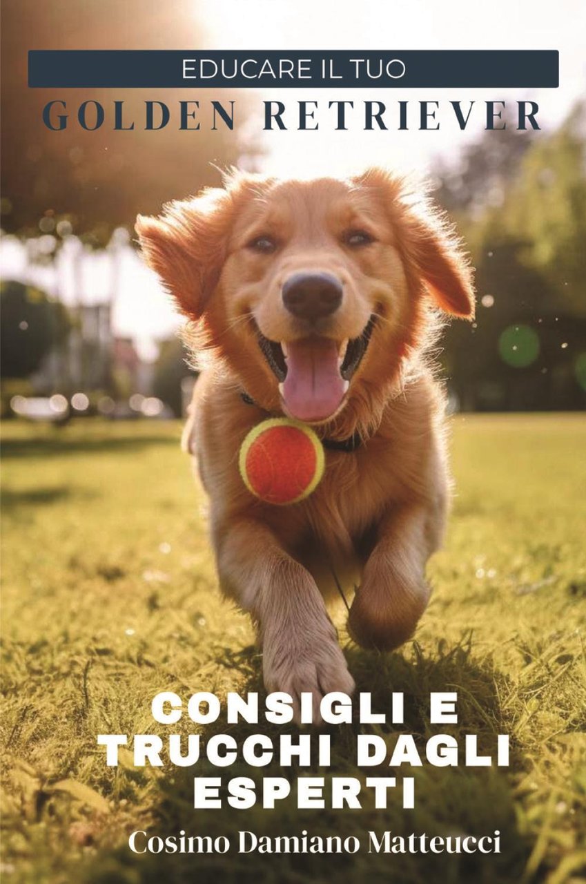 Educare il tuo golden retriever. Consigli e trucchi dagli esperti | Immagine principale