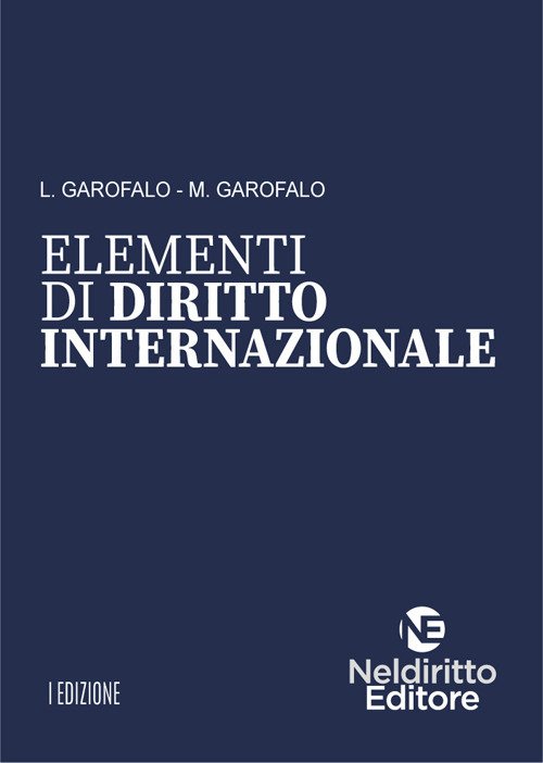 Elementi di diritto internazionale pubblico | Immagine principale