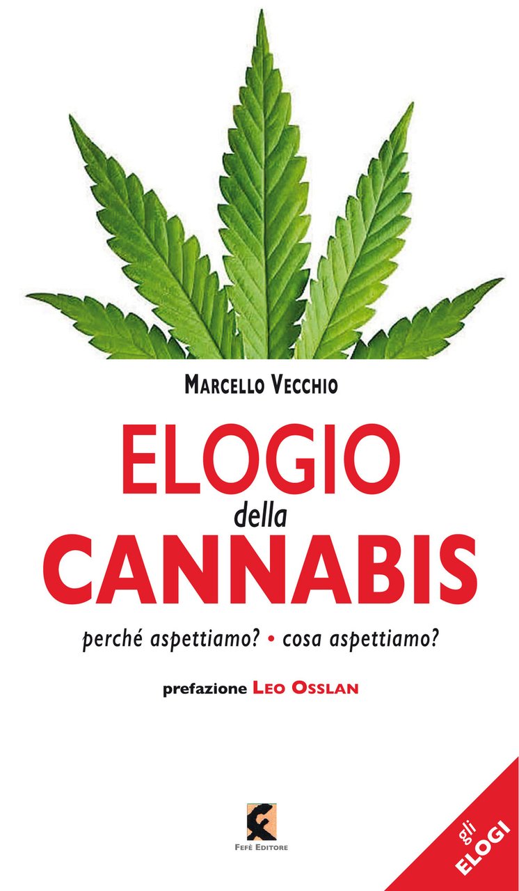 Elogio della cannabis. Perché aspettiamo? Cosa aspettiamo? | Immagine principale