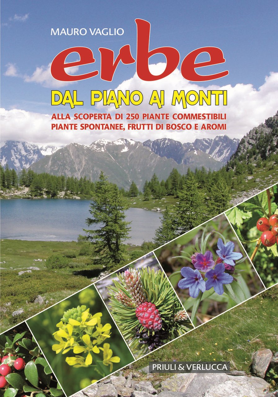 Erbe dal piano ai monti. Alla scoperta di 250 piante … | Immagine principale