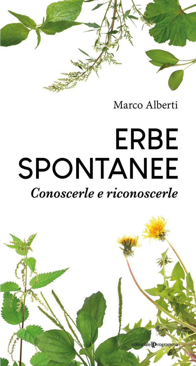 Erbe spontanee. Conoscerle e riconoscerle | Immagine principale