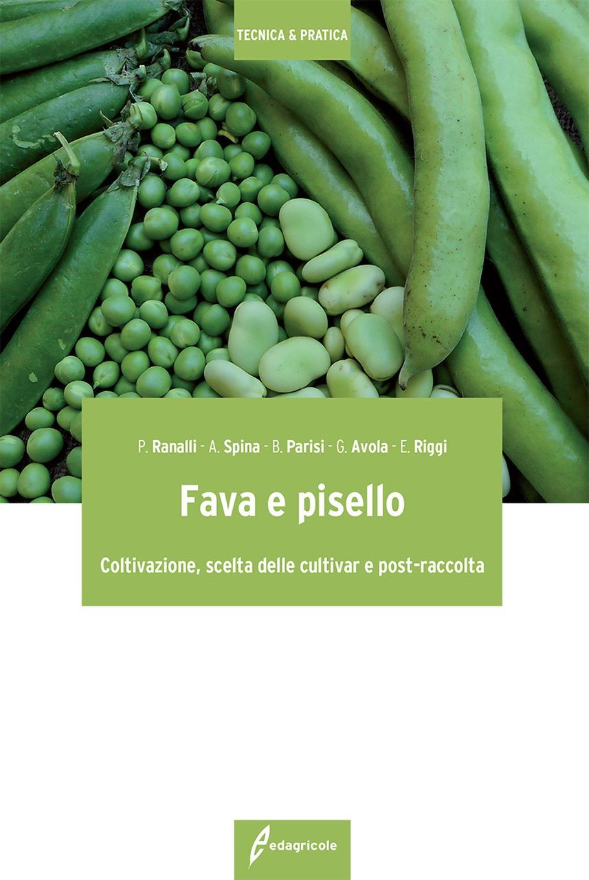 Fava e pisello. Coltivazione, scelta delle cultivar e post-raccolta | Immagine principale