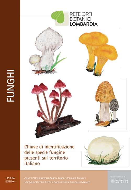 Funghi. Chiave di identificazione delle specie fungine presenti nel territorio …