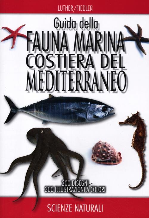 Guida della fauna marina costiera del Mediterraneo | Immagine principale