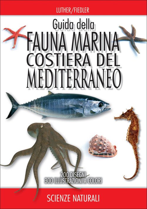 Guida della fauna marina costiera del Mediterraneo | Immagine Gallery 2
