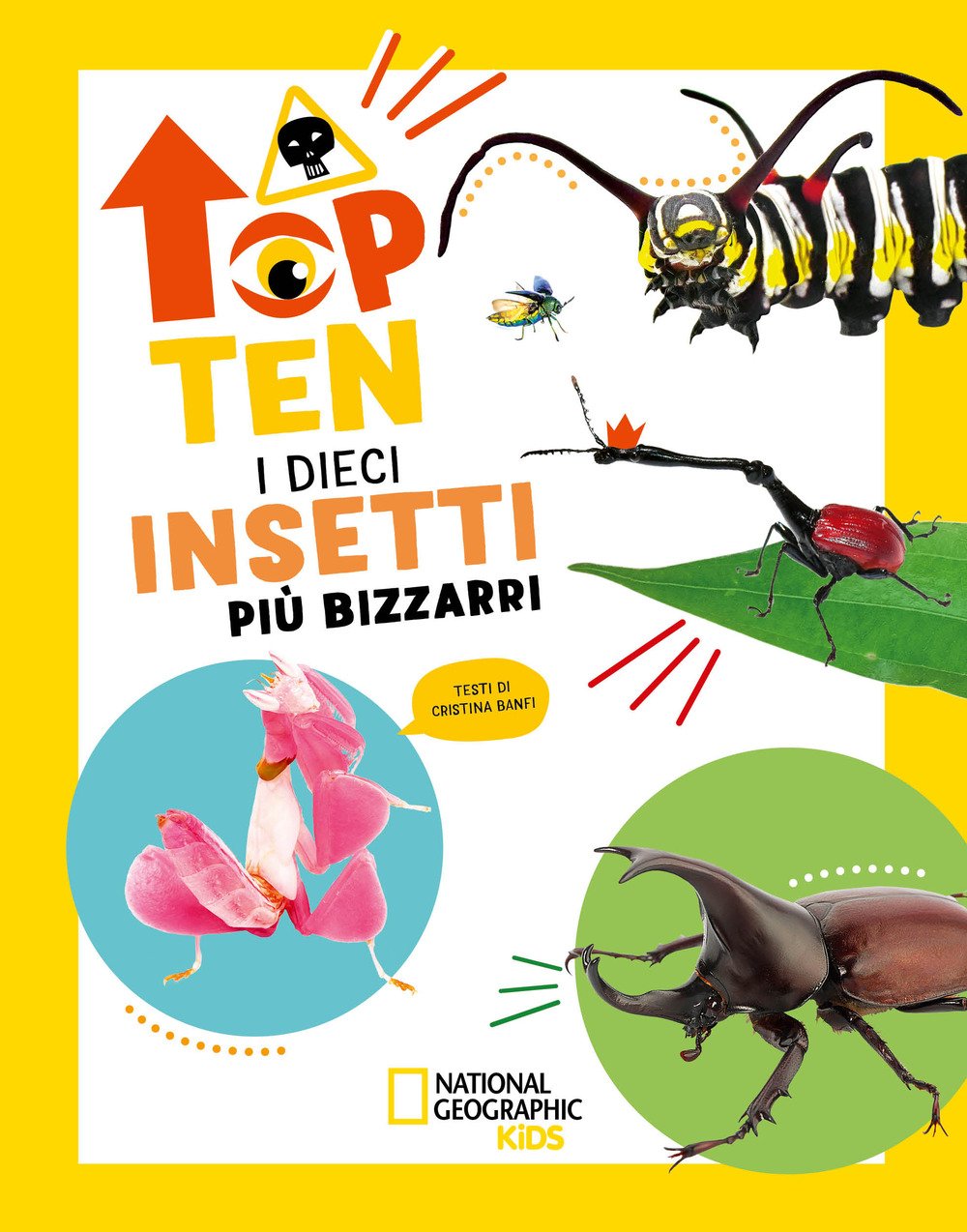 I dieci insetti più bizzarri. Top ten. Ediz. ad alta …
