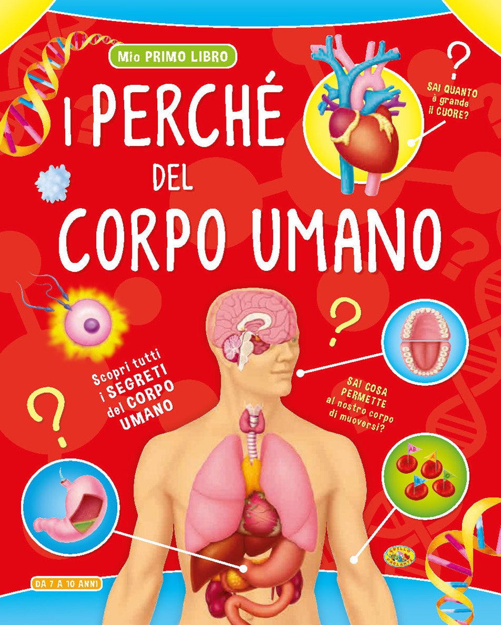 I perché del corpo umano