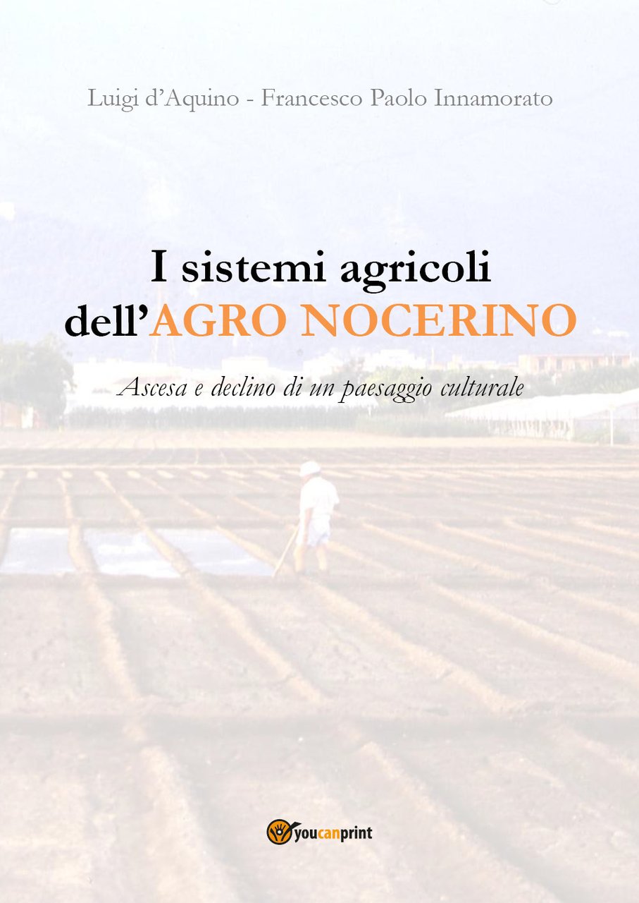 I sistemi agricoli dell'Agro nocerino. Ascesa e declino di un …