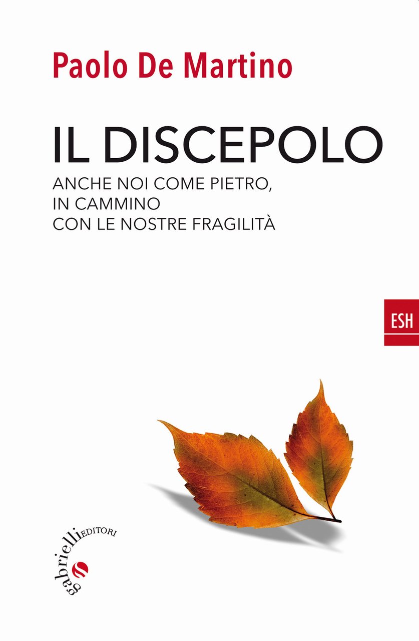Il discepolo. Anche noi come Pietro, in cammino con le …