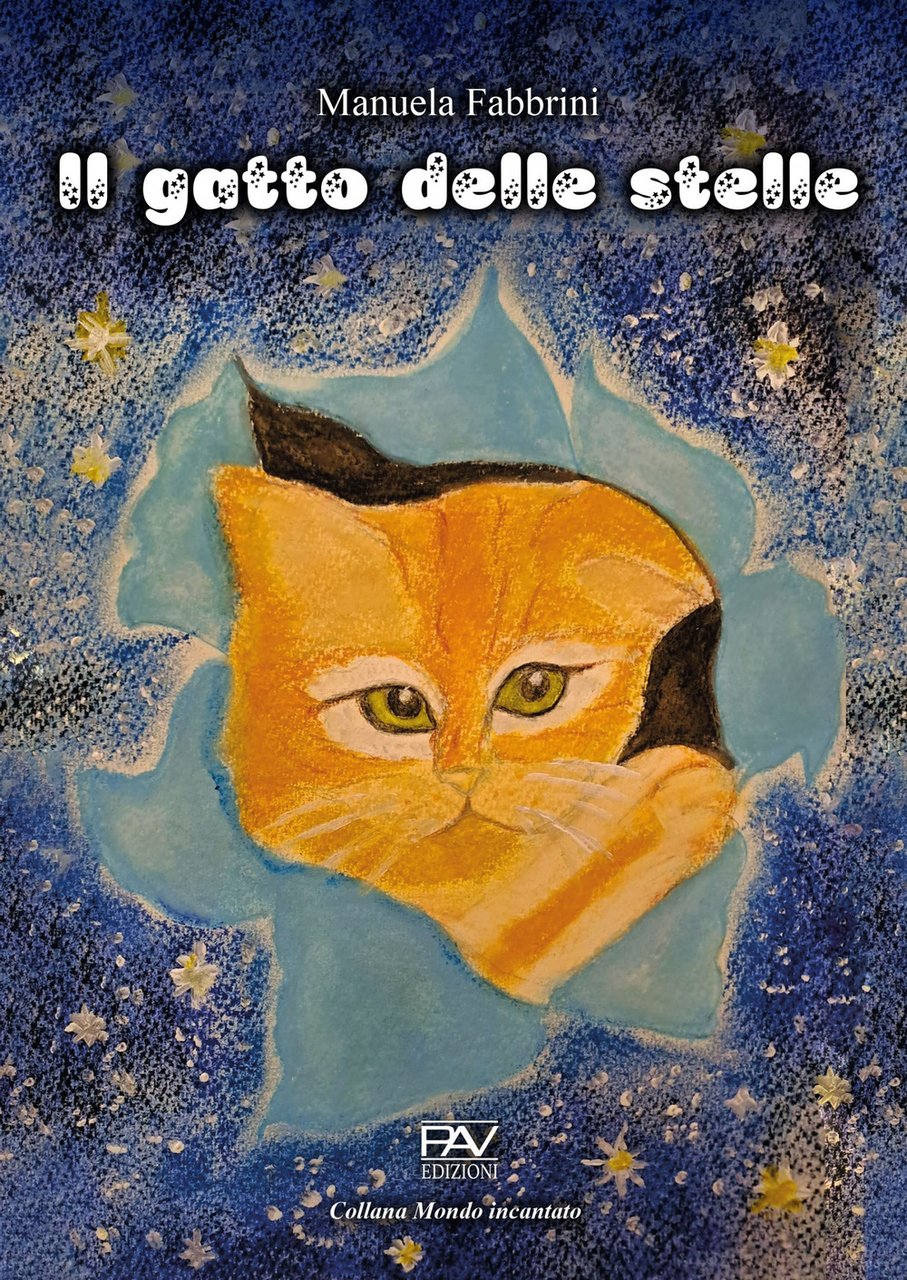 Il gatto delle stelle. Ediz. a colori | Immagine principale