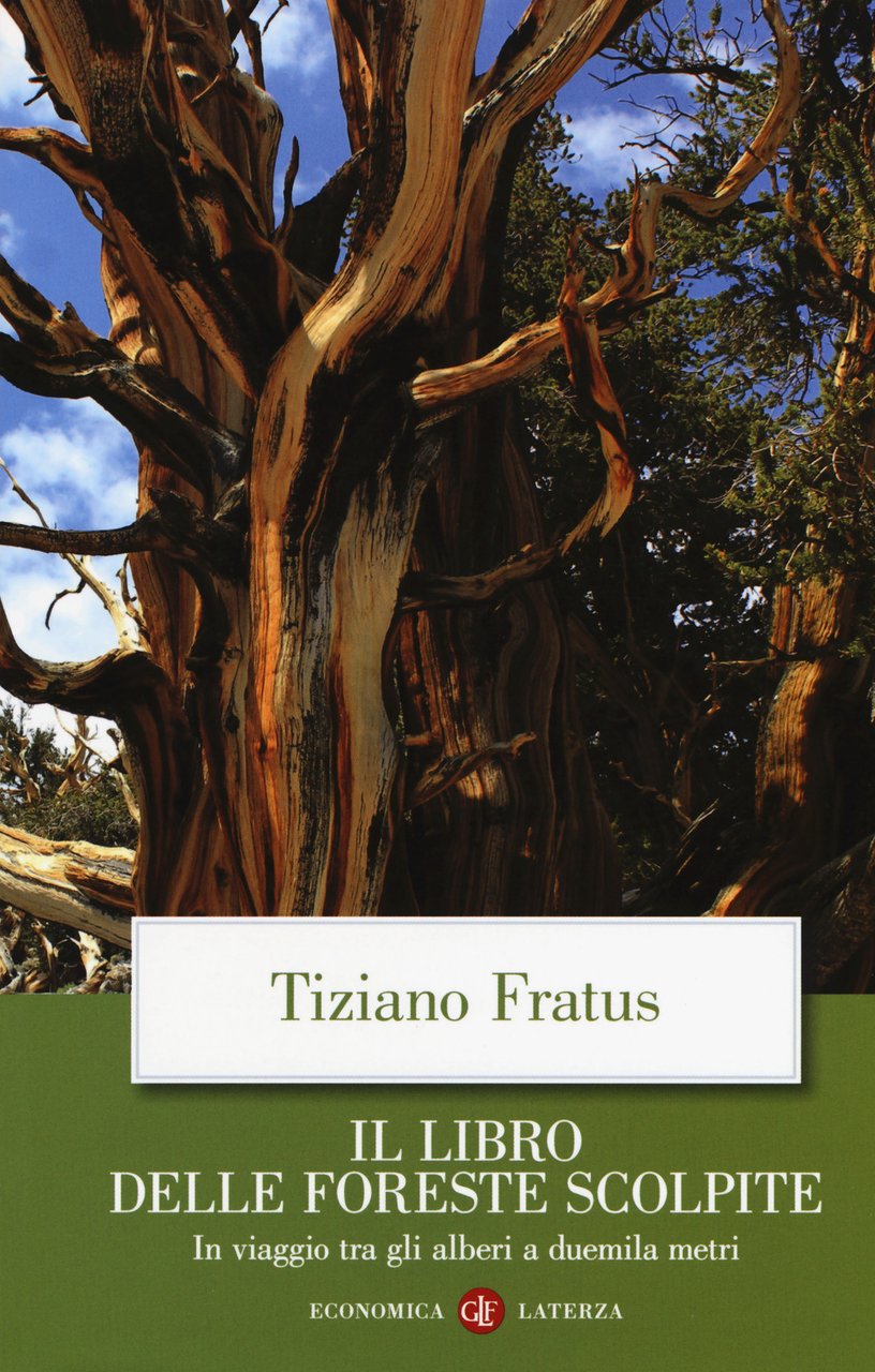 Il libro delle foreste scolpite. In viaggio tra gli alberi …