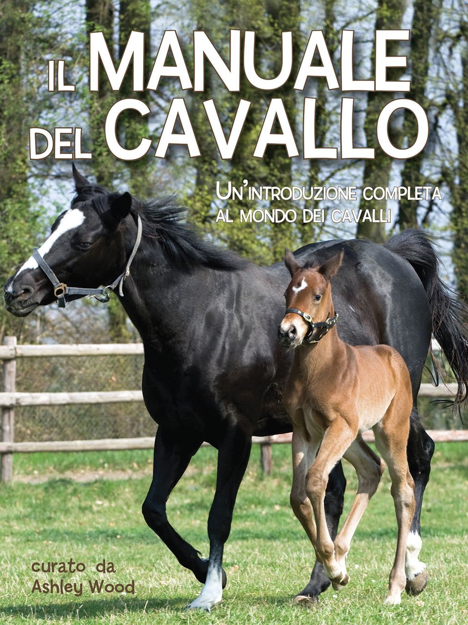 Il manuale del cavallo