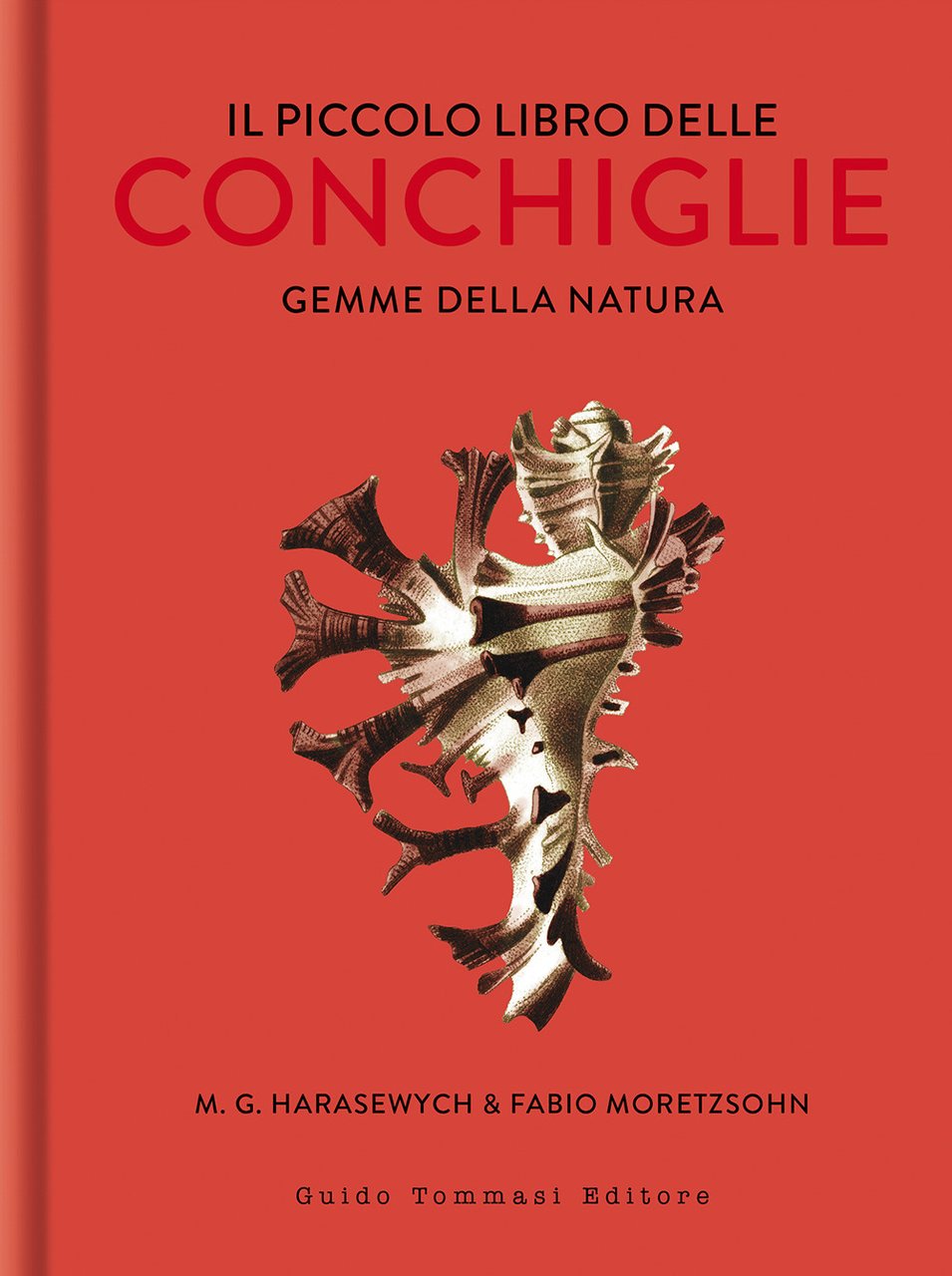 Il piccolo libro delle conchiglie. Gemme della natura. Ediz. illustrata | Immagine principale
